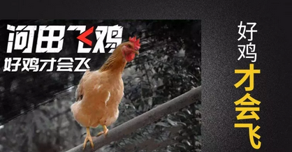 昆明鸡店广告牌