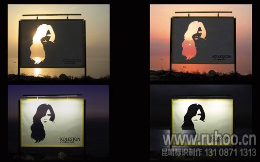 德国威娜染发剂广告牌