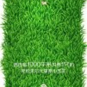 广告牌制作怎么才能发挥最大的效果？